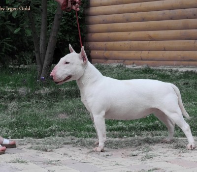 Velikolepna ot Sol'nika (Лепа)