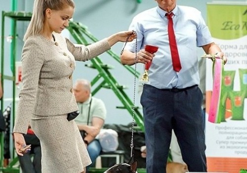 Щенок рождения 12.06.2021